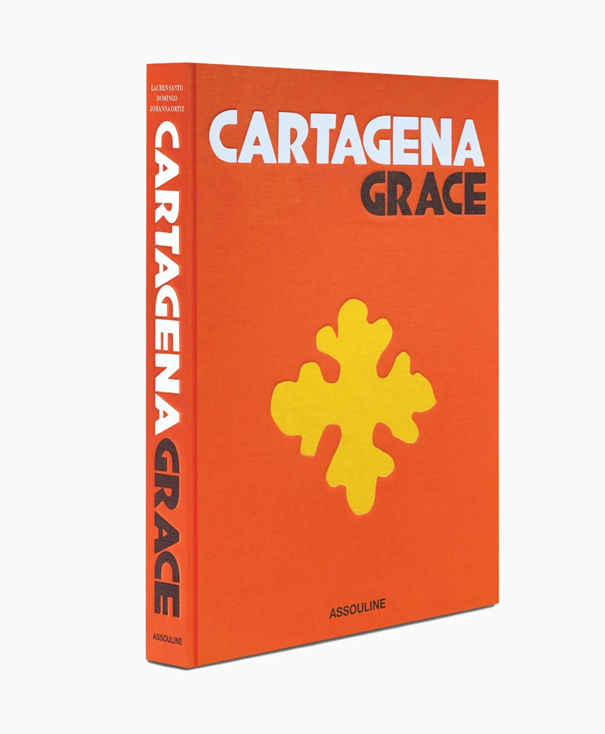 Assouline Boek Cartagena Grace Diversen