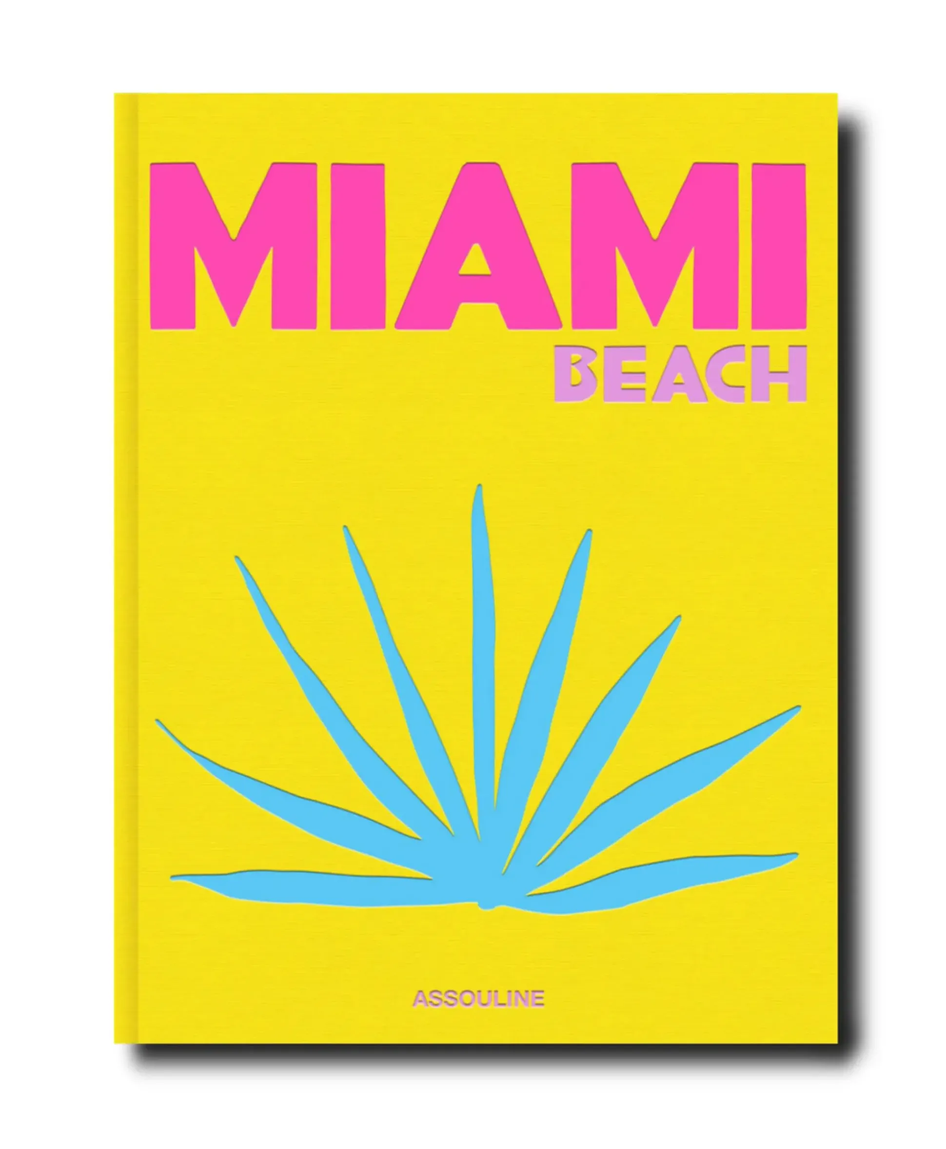 Assouline Boek Miami Beach Diversen