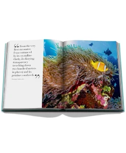 Assouline Boek Saudi Arabia: Red Sea Diversen