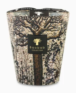 Baobab Kaars Max 16 Sacred Trees Morondo Diversen