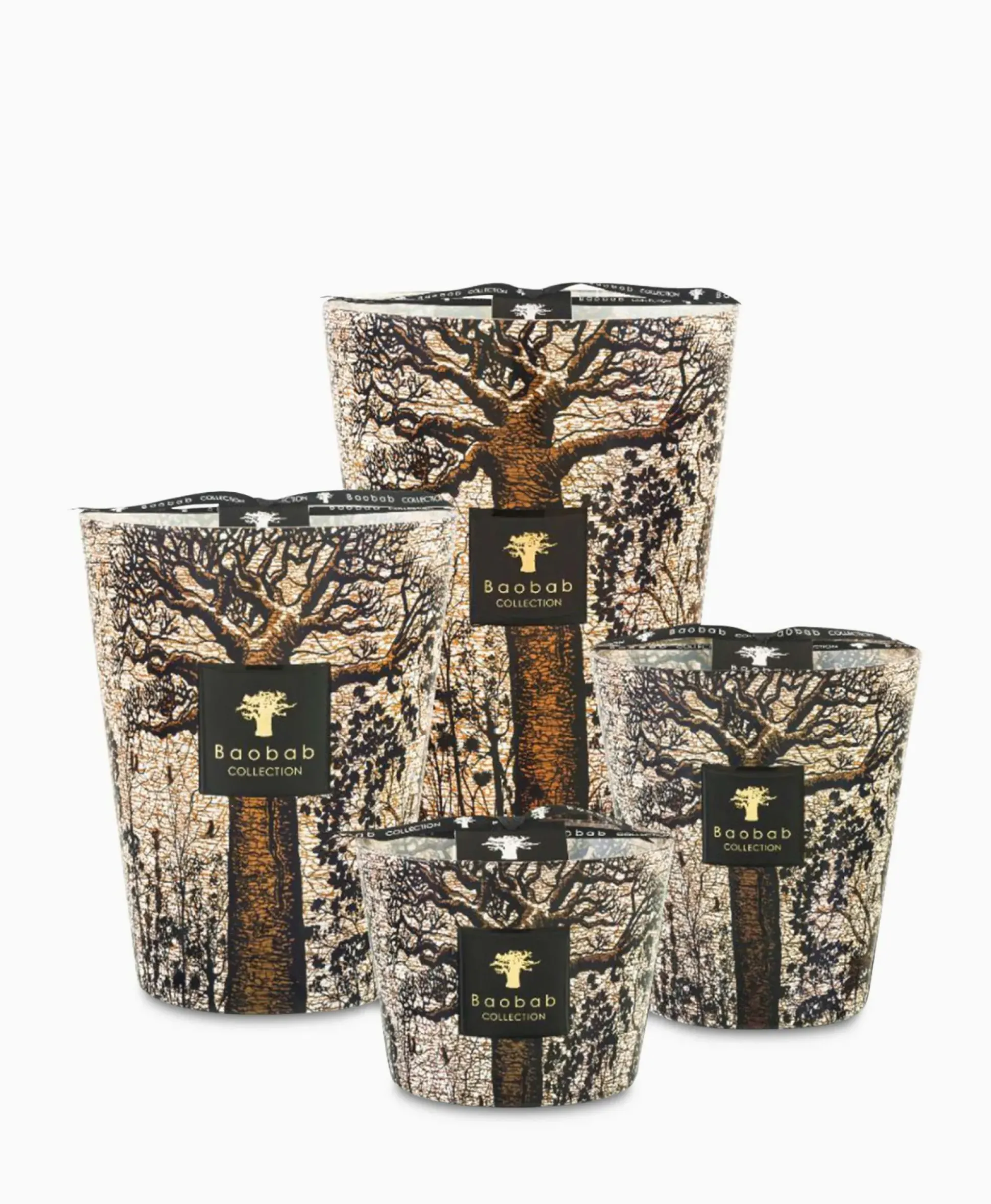 Baobab Kaars Max 16 Sacred Trees Morondo Diversen