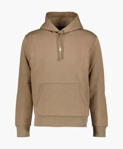 Ralph Lauren Hoodie Mid Logo Bruin