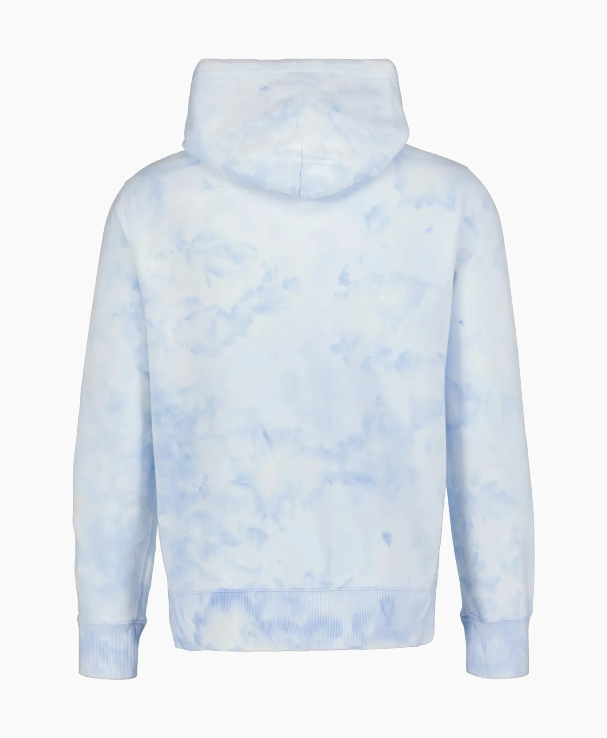 Ralph Lauren Hoodie Riviera Bear Licht Blauw