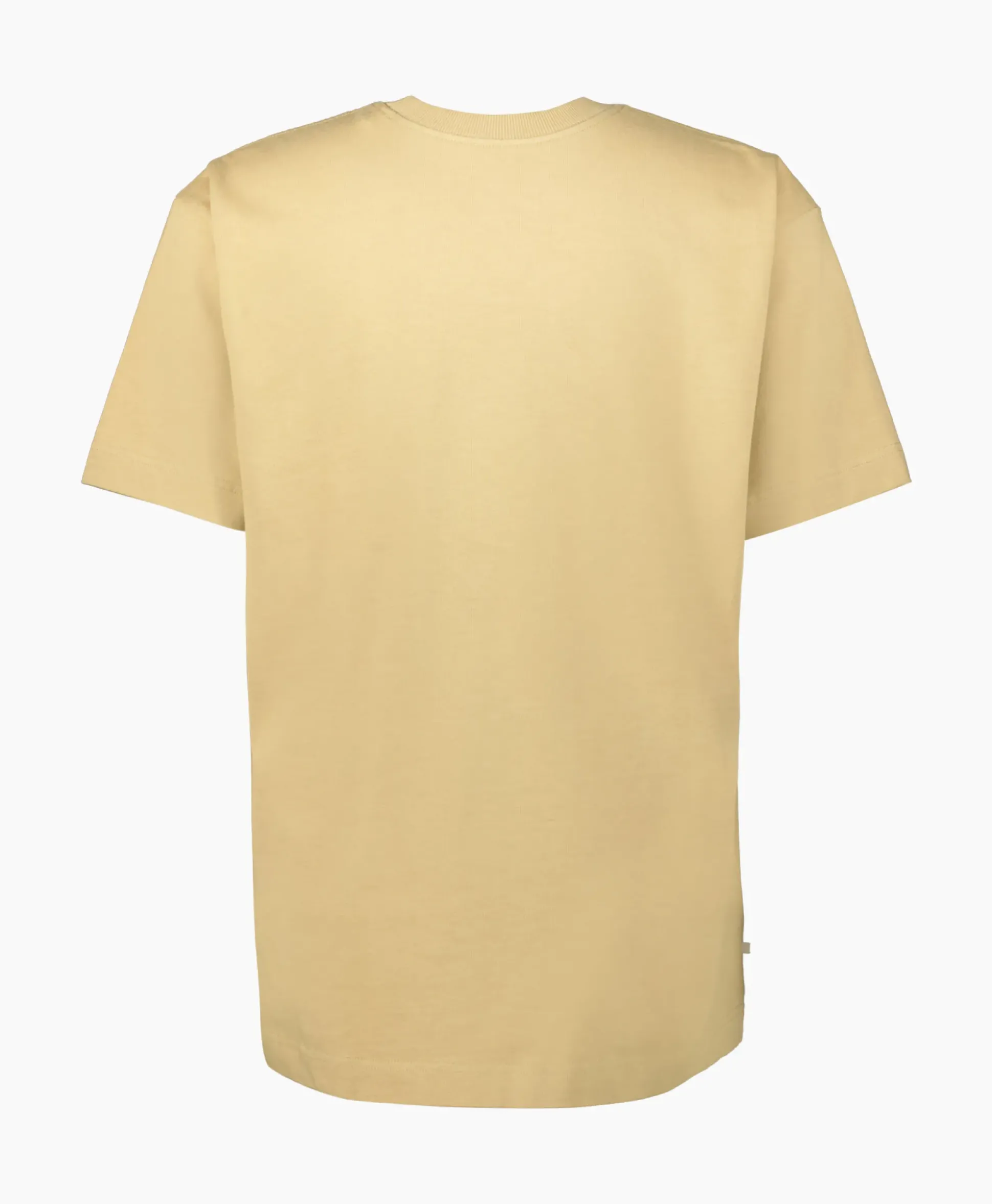 Tenue. T-Shirt Korte Mouw Bruce Bruin